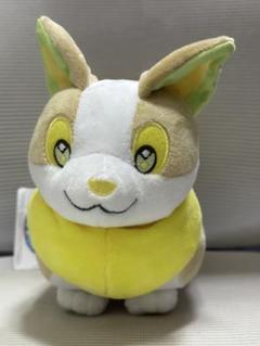 ワンパチ様 Amazon.co.jp: ポケモンセンターオリジナル ぬいぐるみ ワンパチ