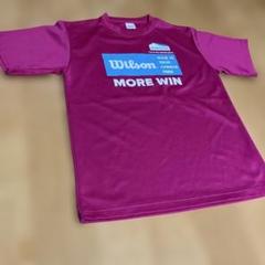 ウィルソン　Tシャツ　レディース