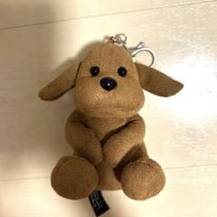 いぬ SexyZone (timelesz) Hanauta Chill Hanauta chill いぬ SexyZone timeleszの通販 by さく's shop
