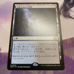 汚染された三角州　ボーダーレス　2枚セット　英 Amazon.co.jp: MTG Foil 英 汚染された三角州 Polluted Delta