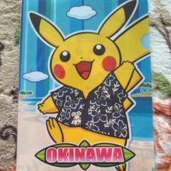 ぬいぐるみ バカンスピカチュウ ポケモンストア沖縄Ver. - メルカリ