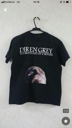 ANDROGYNOS DIR EN GREY Tシャツ(灰色) L size DIR EN GREY Tシャツ PIERROT ANDROGYNOUS アンドロジナス