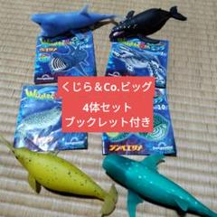 くじら&co. セミコンプリート　15体　まとめ 売り切れ店続出の人気シリーズから くじらと仲間たちを集める
