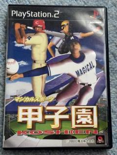 PS2　マジカルスポーツ 2001甲子園