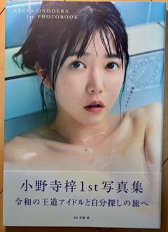 【美品・帯付き・初版】 小野寺梓 1st 写真集 『偶像に生きる』