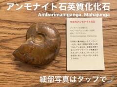 【金曜まで購入の方500円OFF‼️】アンモナイト石英質置換化石 seian_t726-1004
