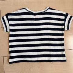 オーガニックズー　トップス　ボーダー