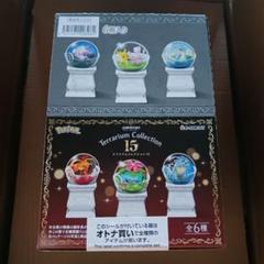 コンプリート　ポケットモンスター テラリウムコレクション15