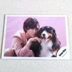 2025年最新】kissin' my lips 公式写真の人気アイテム - メルカリ