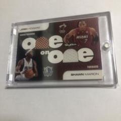 Josh Howard & Shawn Marion NBA Cardのサムネイル
