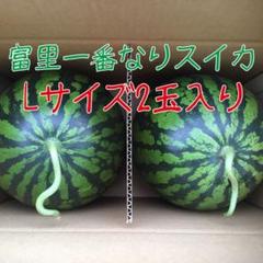 富里一番なりスイカ(すいか)Lサイズ2玉入り