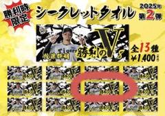 阪神タイガース 勝利のVタオル 岩崎優