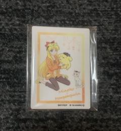 セーラームーンサンリオキャラクターズアクリルマグネット愛野美奈子＆ポムポムプリン