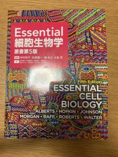 【れん】Essential細胞生物学 Amazon.co.jp: Essential細胞生物学(原書第4版) : 中村 桂子