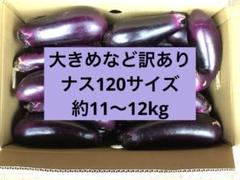 【超メルカリ市開催中！】高知県産ナス　10㎏(Mサイズ 約120本) 大きめなど 訳あり ナス 100サイズ - メルカリ
