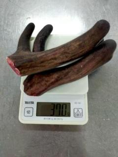 蝦夷鹿　袋角　鹿茸　762g Rokujyou01-300x300.webp