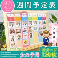 日本全国送料無料商品人気ランキング 日本語教材 Study 支度 スケジュール 女の子 週間予定表 語学・辞書・学習参考書