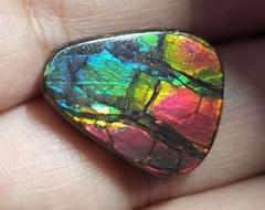 貴重レア 特大天然 アンモライト 11.938ct
