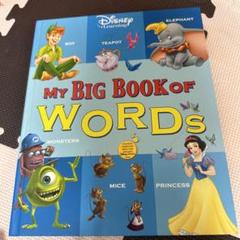希少新品DWE★My Big Book Of Words＋ミニーマジックペン ミッキーマジックペンセット・ミニーマジックペンアドベンチャー