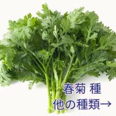 野っ原の自然農園様専用