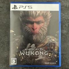 黒神話：悟空 BLACK MYTH WUKONG PS5 特典コード未使用