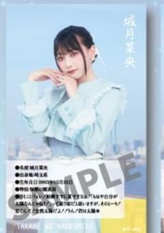 ミニフォトカードセット（メイド至上主義ver.） – 高嶺の