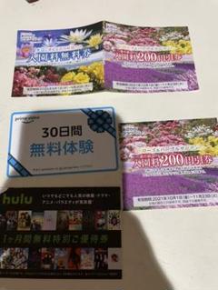 足利フラワーパーク 栃木 プライムビデオ フーリュー hulu チケット 無料
