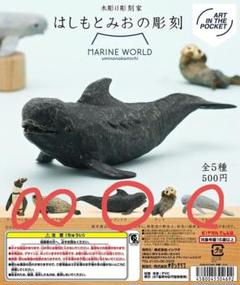 2025年最新】はしもとみお マリンワールドの人気アイテム - メルカリ