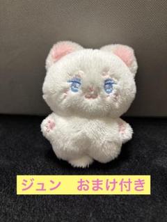 ジュン　ぬいぐるみ　10cm  seventeen セブチ　ドール10センチ Amazon.co.jp: ジュン ぬいぐるみ 10cm マスター セブチ