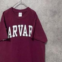 ギルダン　ハーバード大学　tシャツ えんじ　メンズS プリント　古着　半袖