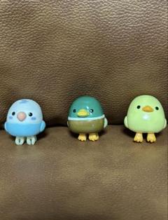 2025年最新】ことり隊 インコの人気アイテム - メルカリ