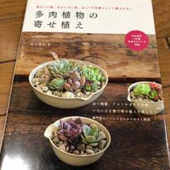 多肉植物の寄せ植え : 変わった姿、おもしろい形、ぷっくり可愛らしくて癒される!