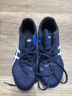 asics アシックス 陸上 スパイク HEATFLAT13 25㎝　兼用
