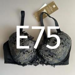 レシアージュ　F65 ワコールwing レシアージュF65