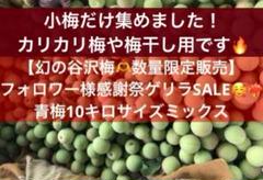 【数量限定】山形県産幻の谷沢梅　10キロ　小梅　青梅　カリカリ梅　梅干し　無農薬 数量限定】山形県産幻の谷沢梅 10キロ 小梅 青梅 カリカリ梅