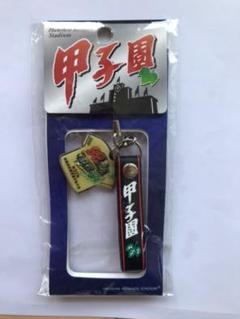 2010年第92回　全国高校野球選手権　東海大相模高校ストラップのサムネイル