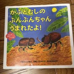 かぶとむしのぶんぶんちゃんうまれたよ!