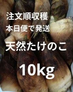 2025年最新】タケノコ 10kgの人気アイテム - メルカリ