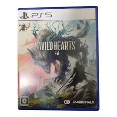 WILD HEARTS PS5