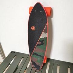 GOLDCOAST ミニクルーザー スケボー スケートボード 訳有