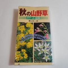 日本の山野草 : ポケット図鑑