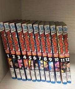 ヴィジランテ 全12巻セット