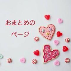 たれ様 リクエスト 3点 まとめ商品