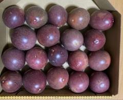 種子島産パッションフルーツ小玉19玉入りのサムネイル