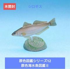 原色海水魚図鑑Ⅰ・Ⅱ 初版　シークレット3セット未開封＋おまけ 原色海水魚図鑑Ⅱ｜商品情報｜タカラトミーアーツ