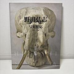 野田弘志、TOKIJIKU （非時）XVI Elephant 2、希少な画集より 野田弘志、TOKIJIKU （非時）XVI Elephant 2、希少な画集より