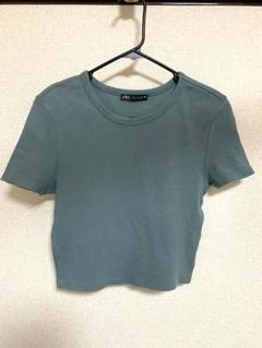 ZARA Tシャツ　Lサイズ相当