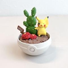 2025年最新】ボタニカルポケモンの人気アイテム - メルカリ