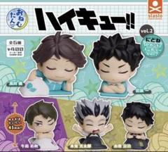 おねむたん ハイキュー!! vol.2 にどね セカンドユニカラーVer全5種類
