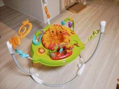 fisher-price（フィッシャープライス）レインフォレスト
